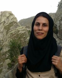 اسدی